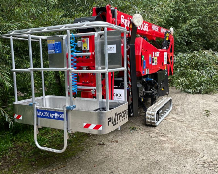 Spinhoogwerker Platform Basket 20.95